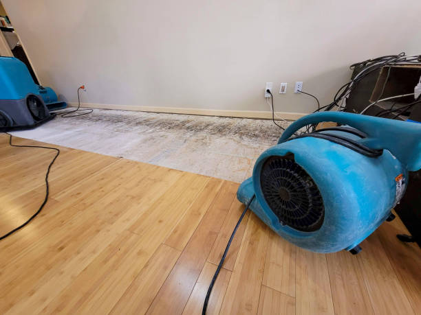 Professional Water Damage Repair technician working in Atlantic, IA